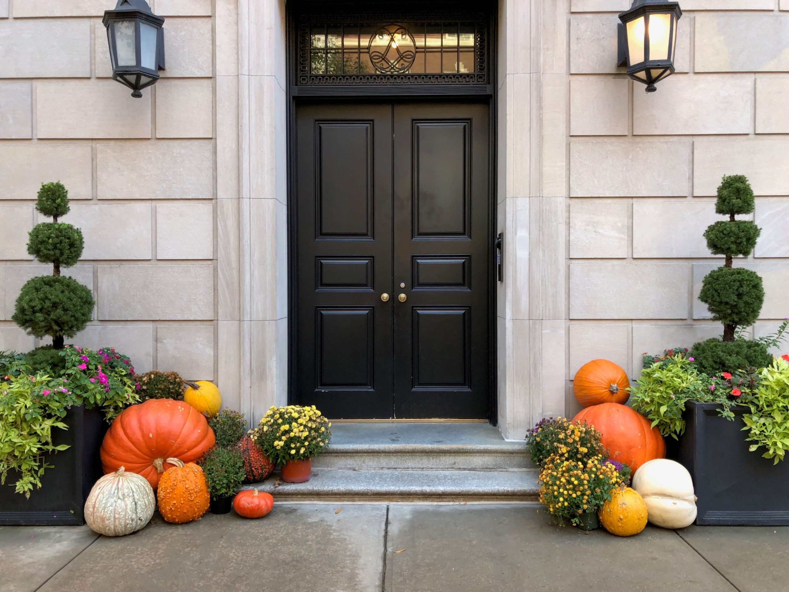 sleek black front door